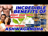 iorganic Exotic Assam Masala Chai / To Refresh and Energize, Stress Reduction Tea, Improved Sleep Tea, Immune Support Tea, Antioxidant Boost Tea