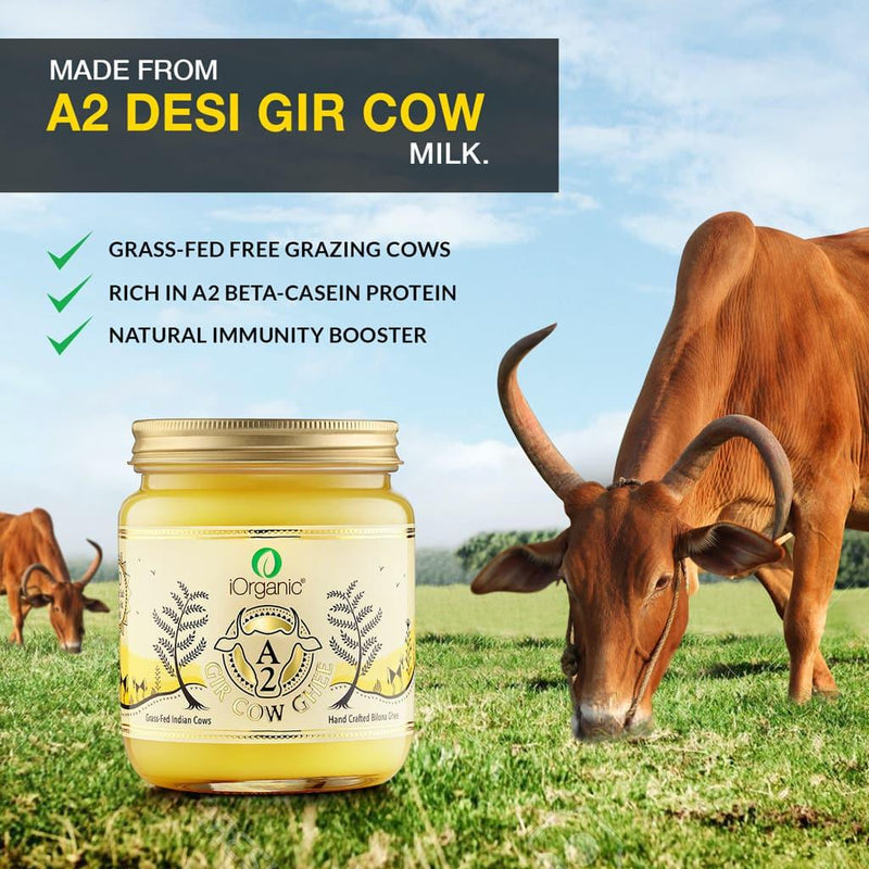 iOrganic A2 Gir Cow Ghee in a clear jar against a backdrop of a serene field, highlighting the source from grass-fed, free-grazing Gir cows. Bilona Ghee