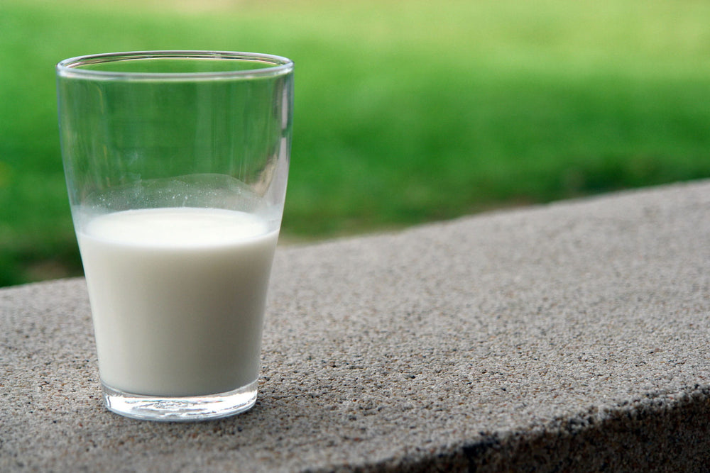 iorganic cow milk is not your average packet milk