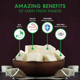 Infographic showcasing the health benefits of iOrganic A2 milk Paneer, with a focus on gut health, immune system support, and vision improvement, all stemming from its richness in protein, paneer served in a wooden bowl.