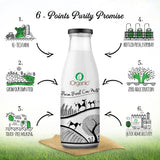 iOrganic’s organically produced A2 Cow Milk, free from antibiotics and synthetic hormones, demonstrating the natural and pure production process.